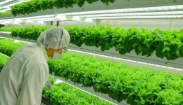 모듈형 스마트팜 기업 ‘엔씽’, 120억 규모 시리즈 B 투자 유치