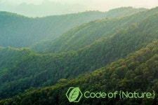 산림재난 복구키트 제조 스타트업 ‘코드오브네이처’, 시리즈벤처스에서 투자 유치