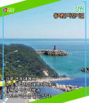 [카드뉴스] 자전거로 그곳을 달리면 가을이 가슴에 들어온다