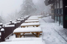 짧은 가을 긴 겨울, 독감과 우울증 이겨낼 준비도 서둘러야 