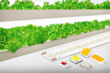 삼성전자, 식물 성장 촉진하는 백색 기반 LED 내놔