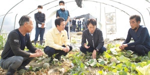 NH농협금융 태풍 힌남노 피해민 금융지원, 손병환 “전 계열사가 협조”