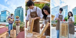 KB금융, 서울 여의도 본점 옥상 ‘K-Bee 도시양봉장’ 첫 번째 꿀 수확