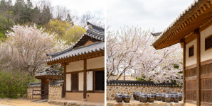 계묘년 설 연휴, 월미공원에서 토끼도 보고 전통고택 정취도 느껴볼까