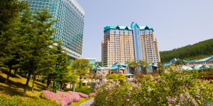 강원랜드 하이원리조트, 봄맞이 조식 뷔페·워터파크 숙박 패키지 출시