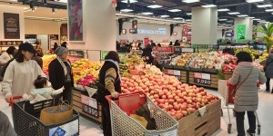 롯데마트 이색과일 판매 확대, 3월에는 껍질이 국화꽃 닮은 설국향 내놔