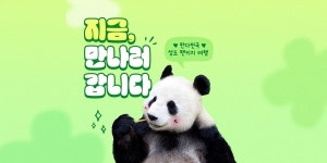 푸바오 떠나 허전한 마음 달래 볼까, 하나투어 쓰촨성 펀더기지 관람 상품 출시