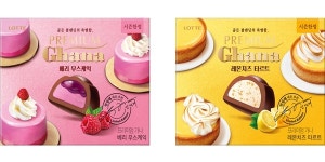 롯데웰푸드 밸런타인데이 맞이 한정판 쉘 초콜릿 선봬, 온·오프라인 행사도