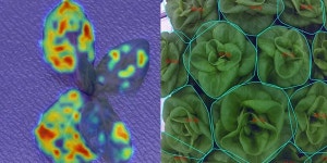 롯데이노베이트, 스마트팜 플랫폼 도시의 푸른농장에 비전 AI 접목