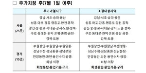 동탄·기흥·구리 규제지역 및 토허구역 추가, 7월1일부터 효력 발생
