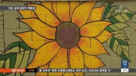 대구경북TBC)밤실 벽화마을 개장