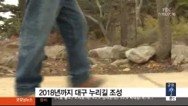대구경북TBC)대구 누리길 조성