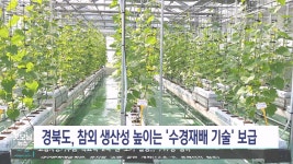 성주 참외 수경재배 기술 보급