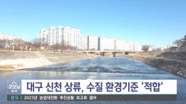 대구 신천 파동교 수질 환경 기준에 적합