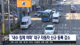 내수침체 여파 대구 자동차 신규등록 감소