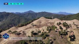 단독-대가야 수도 고령, 고도 지정 신청