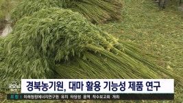 경북농업기술원, 대마 활용 기능성 제품 연구