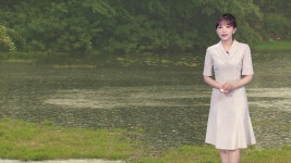 부처님오신날 거센 비바람...아침최저 8~16도
