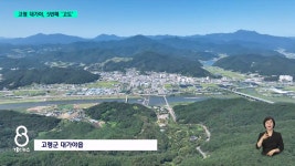 대가야 도읍 고령, 고도 지정...대표 역사도시 우뚝