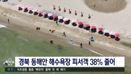 경북 동해안 해수욕장 피서객 크게 즐어