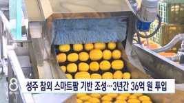성주 참외 스마트팜 기반 구축…3년간 36억 투입