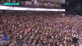 이 시각 라이온즈