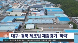제조업 심리지수 하락...경기 전망 '비관적'