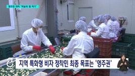 [新이민정책 5]억대 연봉 돼야 영주권...5년 뒤 무대책