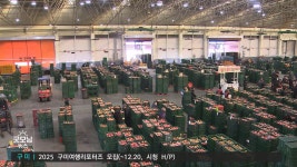 [깜깜이 도매시장 6탄]관리 사각지대 농산물도매시장 일제 점검