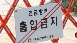 구제역 위기 단계 주의로 상향...예찰 강화