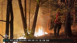 함지산 불.. 대구 성북,서변초, 서변중 휴교