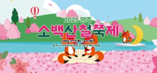 연분홍 철쭉의 향연 2025 소백산 철쭉제 31일 개막