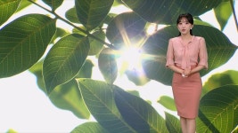 [8날씨] 장마 종료, 역대 두 번째로 짧은 장마... 폭염은 계속