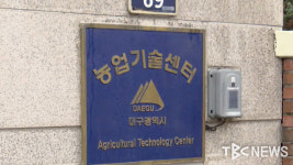 대구농업기술센터, 13일까지 올해 파종 보리·호밀·씨감자 신청 접수