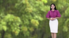 [굿모닝 날씨]대구경북 20~100mm 비...돌풍, 천둥ㆍ번개 주의