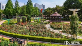 유천하이패스IC 현풍 방향 내일 기공식