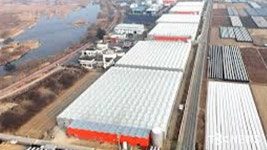 영천시, 지역 특화 임대형 스마트팜 본격 운영