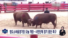 청도소싸움경기장 오늘 개장... 시민단체 경기 중단 촉구