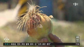 경북형 공동영농 성과..소득배당 법인 늘어