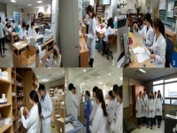 이론-실무 겸비한 6년제 약사, 세상 밖으로