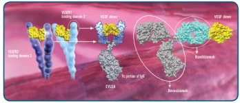 바이엘코리아 황반변성 치료제 아일리아①