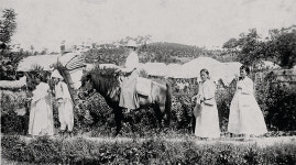 마티 잉골드를 다시 호명하다