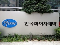 한국화이자제약 법인 분리된다