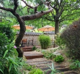 삼일제약 야외 정원, ’도심 속 힐링 장소’로 재탄생