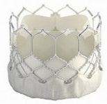 [2021의료기기 우리 부서가 뛴다]에드워즈라이프사이언시스 THV 사업부