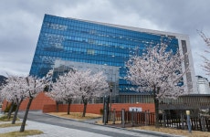 케이메디허브, 백신 및 면역증강제 개발 사업 지원