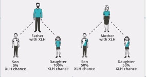 한국쿄와기린, XLH 전문 포털 XLH Link Asia 오픈