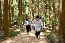 화순전남대병원 숲 힐링캠프 열어