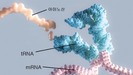 올 3대 생명공학 스타트업 주목