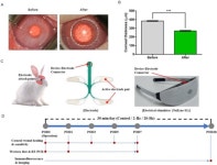 뉴아인, 각막신경 재생 논문 국제안과학술지 게재